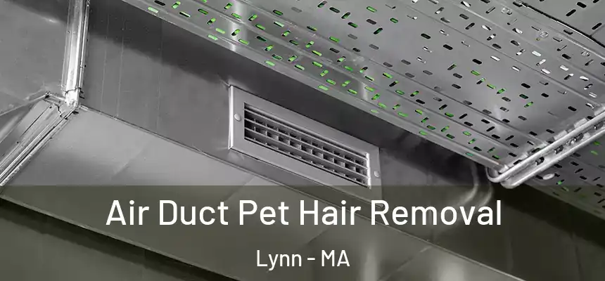 Air Duct Pet Hair Removal Lynn - MA