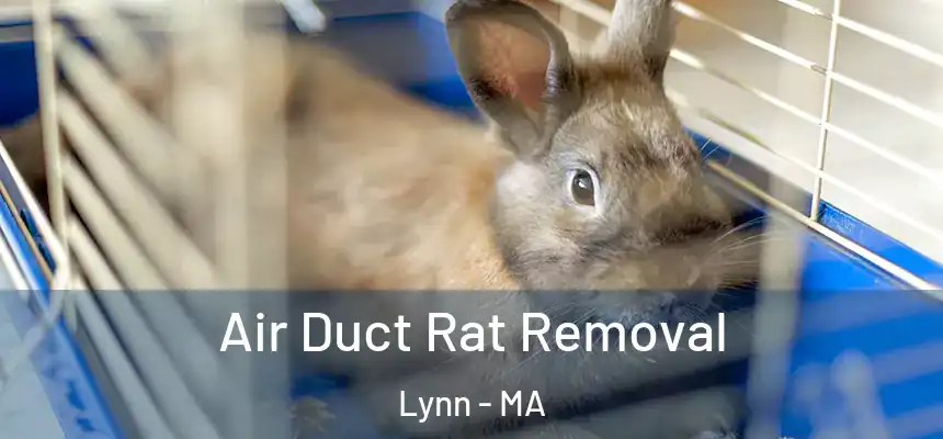 Air Duct Rat Removal Lynn - MA
