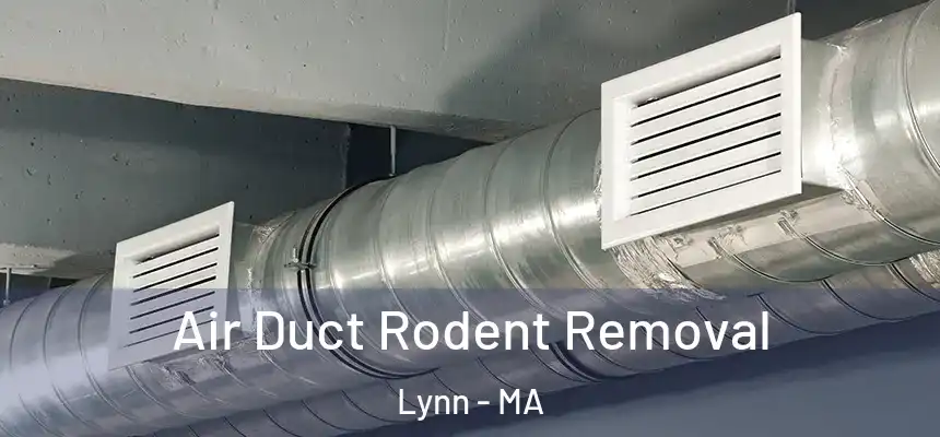 Air Duct Rodent Removal Lynn - MA