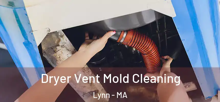 Dryer Vent Mold Cleaning Lynn - MA
