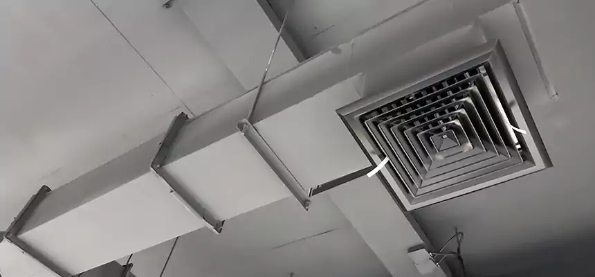 Our Rodent Droppings In Vents Services in Lynn, MA