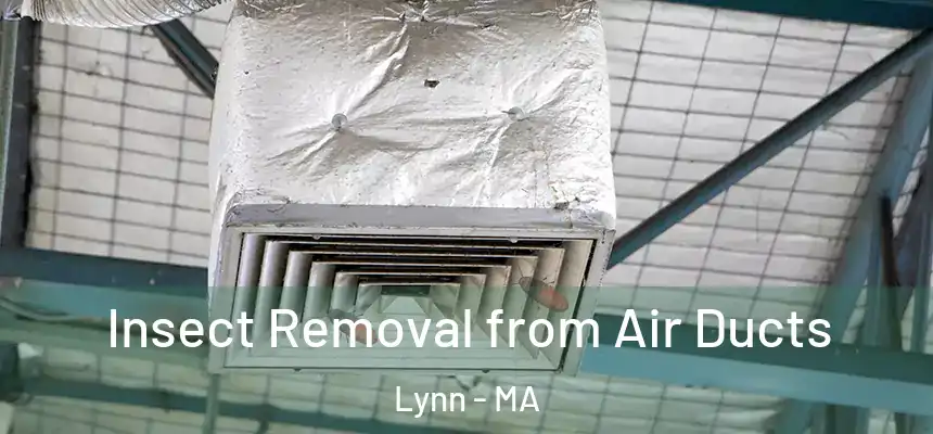 Insect Removal from Air Ducts Lynn - MA