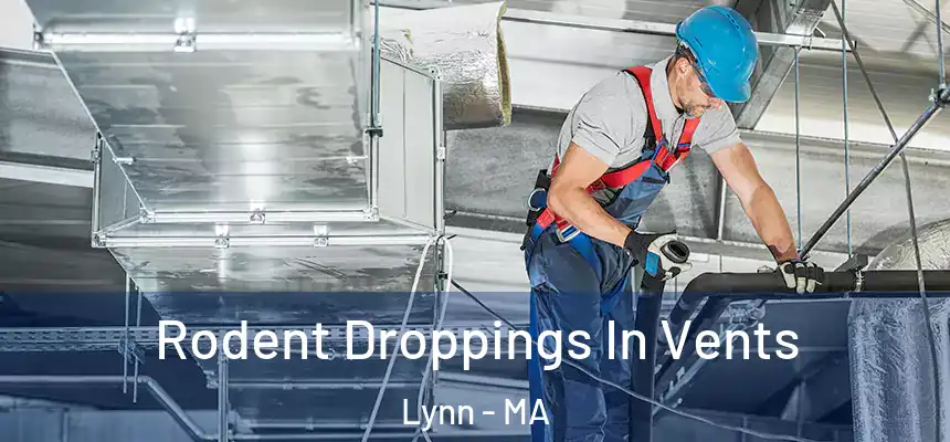 Rodent Droppings In Vents Lynn - MA