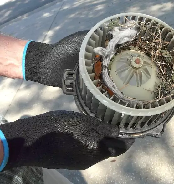 About Air Duct Rat Removal in Lynn, MA