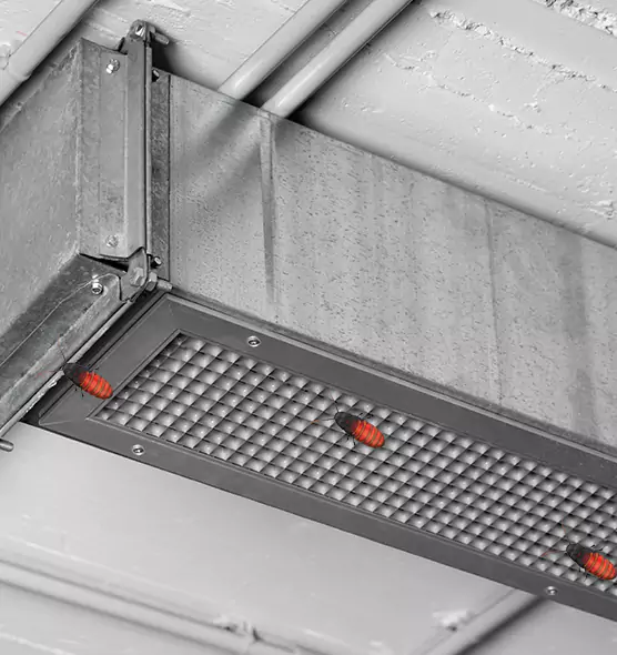 Affordable Insect Removal from Air Ducts in Lynn, MA