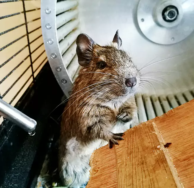 Why Homeowners & Businesses Trust Us Lynn, MA?