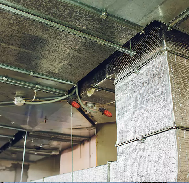 Why Homeowners & Businesses Trust Us Lynn, MA?